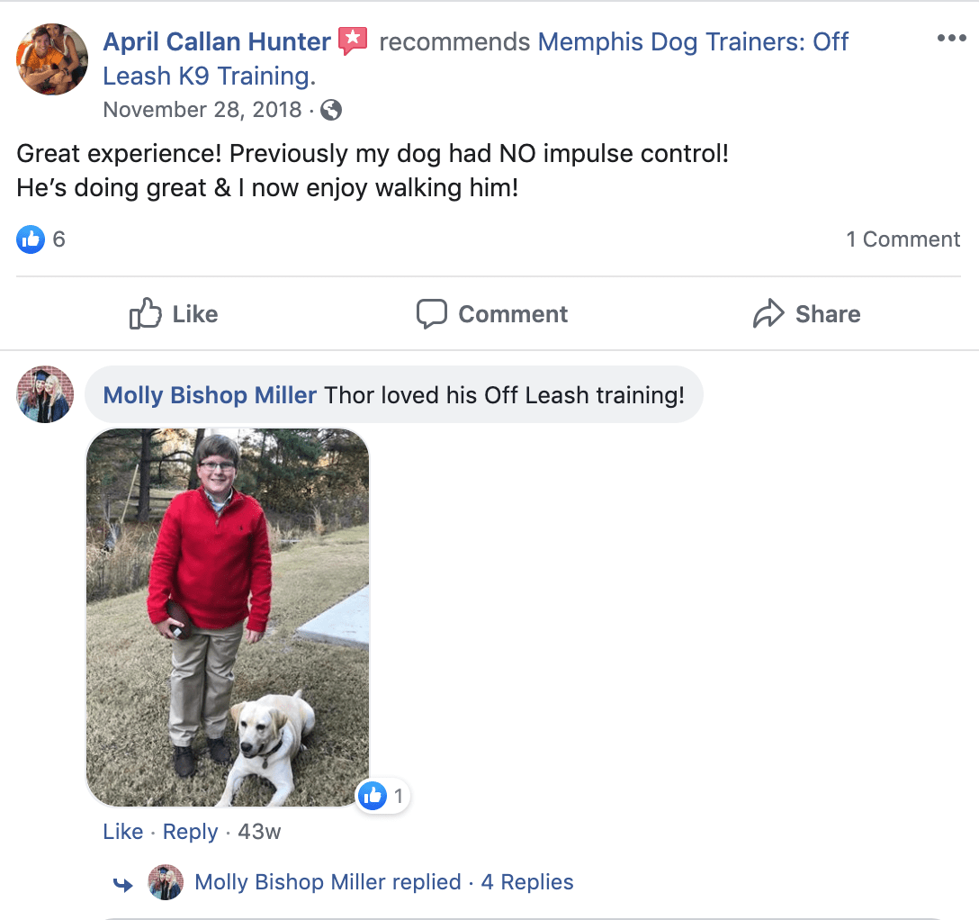 Memphis Dog Trainers Off Leash K9 Training of Memphis