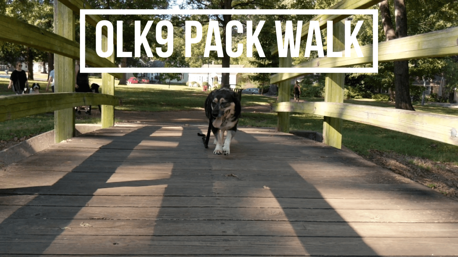 Off Leash K9 Training of Memphis Dog Obedience Training & Behavior