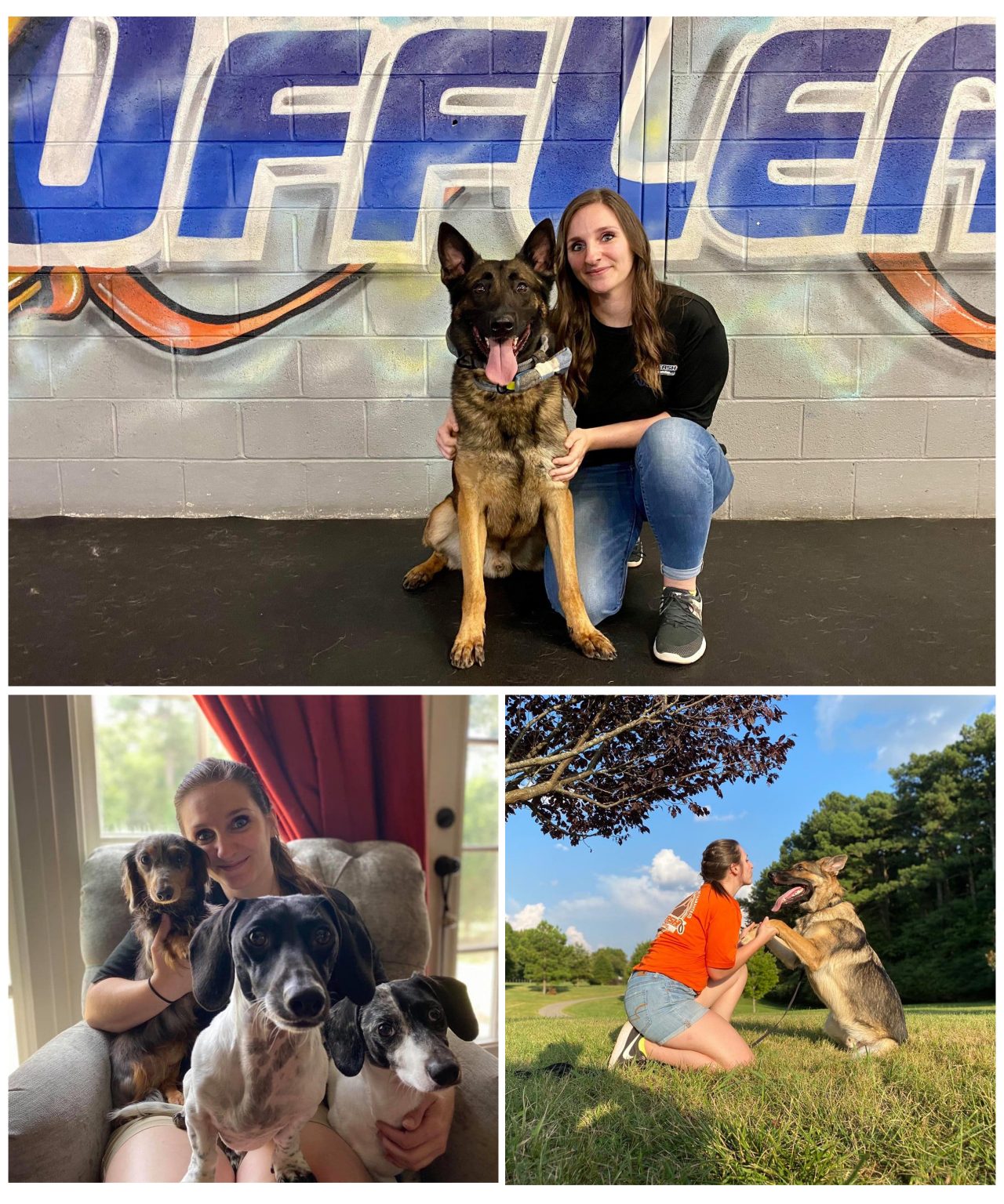 About Off Leash K9 Training of Memphis