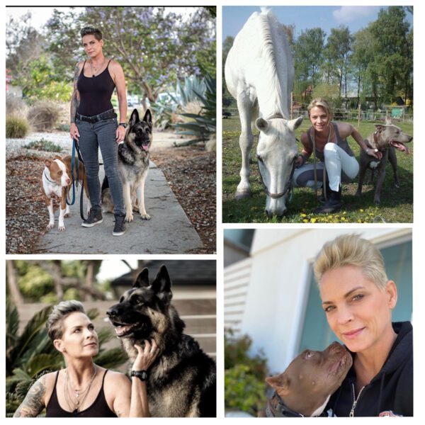 About Off Leash K9 Training of Memphis