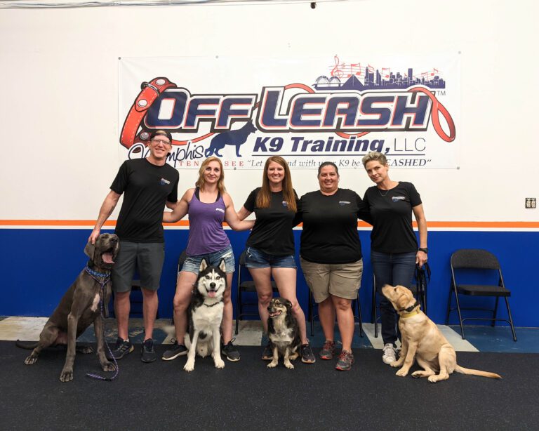 Plans & Pricing Off Leash K9 Training of Memphis
