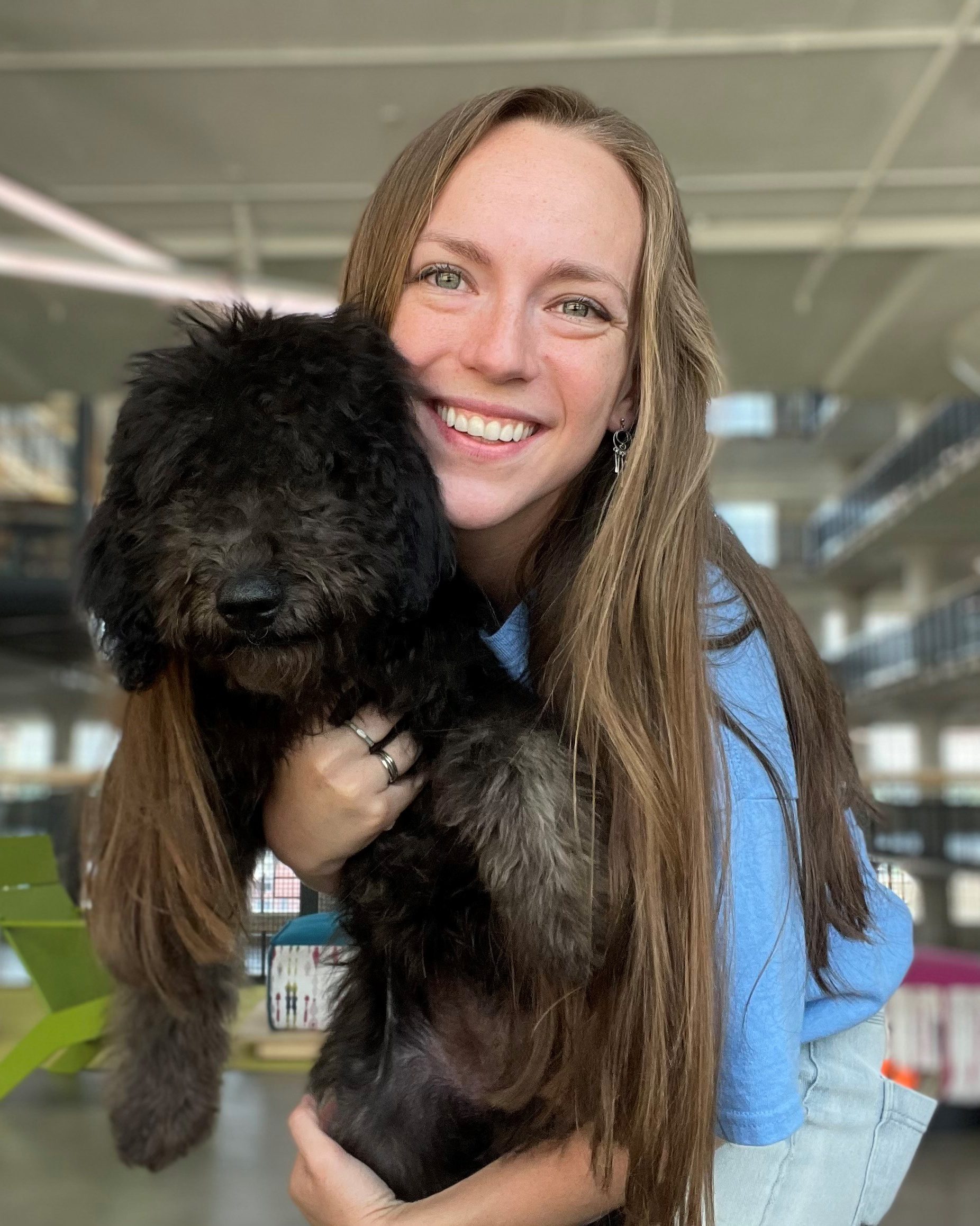 About Off Leash K9 Training of Memphis